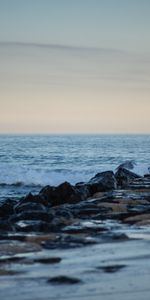 Shore,Bank,Nature,Horizon,Bird,Wave