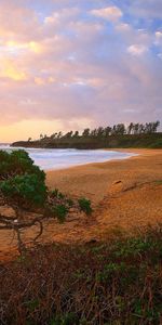 Shore,Bank,Nature,Sea,Landscape