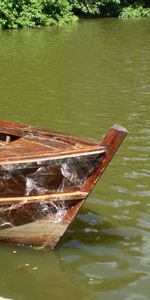 Shore,Bank,Paddles,Oars,Reflections,Gleams,Nature,Water,Boat,Sunny