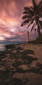 Shore,Bank,Palm,Lighthouse,Nature,Sea,Beach