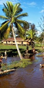 Shore,Bank,Tribe,Aborigines,Water,Palms,Boats,Nature,People