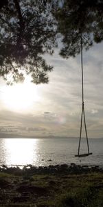 Shore,Bank,Wood,Tree,Lake,Nature,Swing