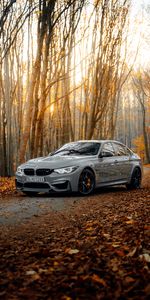 Bmw M3,Voiture,Voitures,Bmw,Forêt,Vue De Côté,Automne