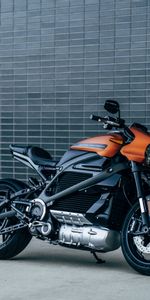 Harley Davidson Livewire,Moto Électrique,Vue De Côté,Vélo Électrique,Bicyclette,Vélo,Motocyclette,Harley Davidson,Moto