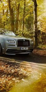 Side View,Silver,Silvery,Spofec,Cars,Park,Autumn,Wraith,Rolls Royce