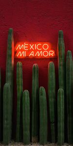 Signboard,Cactuses,Sign,Words,Text,Neon