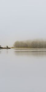 Brouillard,Helsinki,Arbres,Lac,Silence,Finlande,Loger,Petite Maison,Minimalisme