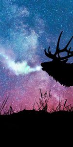 Silhouette,Stars,Deer,Dark,Galaxy