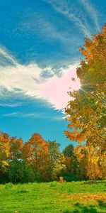 Arbres,Nuages,Sky,Automne,Paysage