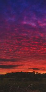 Sky,Beautiful Landscape,Nature,Sunset,Field