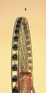 Sky,Bird,Ferris Wheel,Minimalism