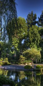 Jardin,Étang,Nature,Sky,Pont,Arbres