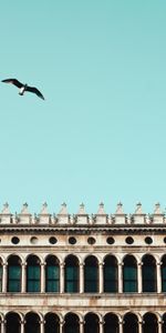 Sky,Building,Bird,Minimalism