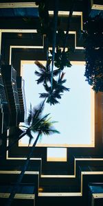 Sky,Building,Palm,Bottom View,Cities