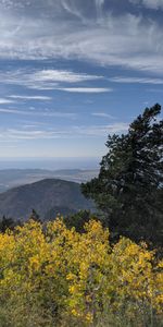 Sky,Bush,Hill,Nature,Trees