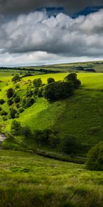 Sky,Bush,Road,Hill,Winding,Sinuous,Nature