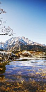 Sky,Bush,Tree,Vegetation,Freshness,Nature,Vertex,Lake,Transparent,Bottom,Stones,Wood,Tops,Water,Spring