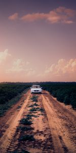 Sky,Cars,Car,Field,Road