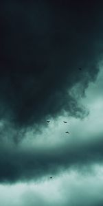 Naturaleza,Cielo,Nubes,Birds