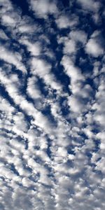 Nature,Sky,Nuages,Frisé,Été