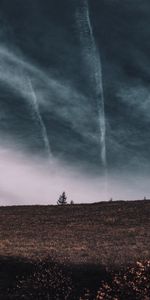 Naturaleza,Hierba,Cielo,Horizonte,Madera,Nubes,Árbol,Campo