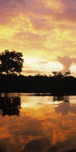 Sky,Clouds,Lake,Outlines,Evening,Nature,Trees,Sunset,Patterns