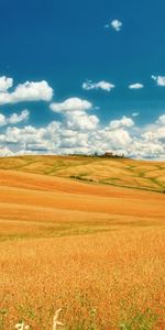 Sky,Clouds,Landscape,Fields