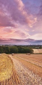 Los Campos,Cielo,Nubes,Paisaje