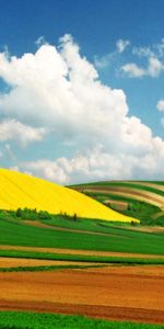 Sky,Clouds,Landscape,Nature,Fields