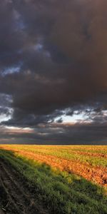 Naturaleza,Nubes,Campo,Panorama,Maíz,Tierras Cultivables,Tierra Cultivable,Cielo