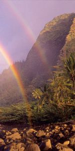 Sky,Clouds,Shore,Bank,Hawaii,Nature,Stones,Palms,Rainbow