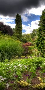 Naturaleza,Cielo,Nubes,Vegetación,Brillantemente,Principalmente Nublado,Nublado,Jardín