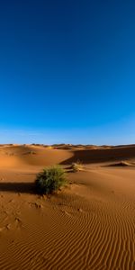 Sky,Desert,Sahara,Nature,Sand