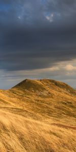 Naturaleza,Campo,Orejas,Pendiente,Cuesta,Espigas,Cielo