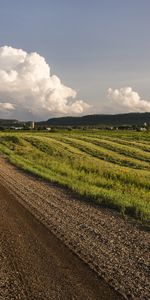 Sky,Field,Nature,Grass,Trees,Road