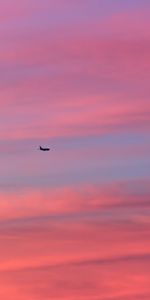 Sky,Flight,Clouds,Airplane,Plane,Minimalism