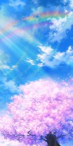 Nuages,Sakura,Art,Floraison,Sky,Arc En Ciel