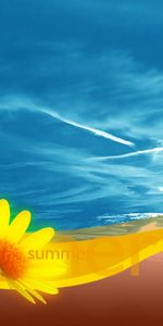 Fleurs,Sky,Dessins