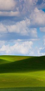 Verdure,Nature,Légumes Verts,Plaine,Prairies,Sky