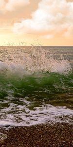 Cielo,Gaviota,Navegar,Surfear,Ondas,Naturaleza,Mar