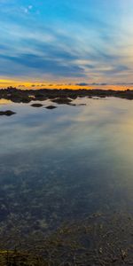 Sky,Horizon,Lake,Algae,Nature,Seaweed