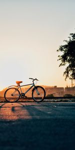 Sky,Horizon,Sunset,Nature,Bicycle