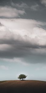 Nature,Bois,Colline,Sky,Horizon,Arbre