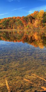 Sky,I See,Transparent,Branches,Brightly,Clear,Bottom,Trees,Nature,Autumn,Water