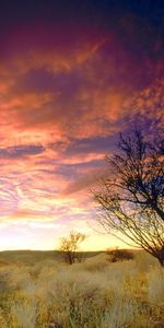 Sky,Landscape,Nature