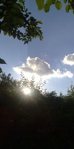 Sky,Leaves,Clouds,Landscape,Sun