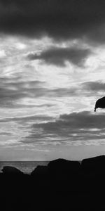 Sky,Loneliness,Mood,Gesture,Stand,To Stand,Girl,Dark