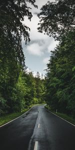 Sky,Markup,Nature,Trees,Road,Forest