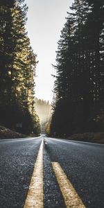 Sky,Markup,Trees,Nature,Road