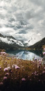 Nuages,Nature,Montagnes,Wildflowers,Sky,Fleurs Sauvages,Lac